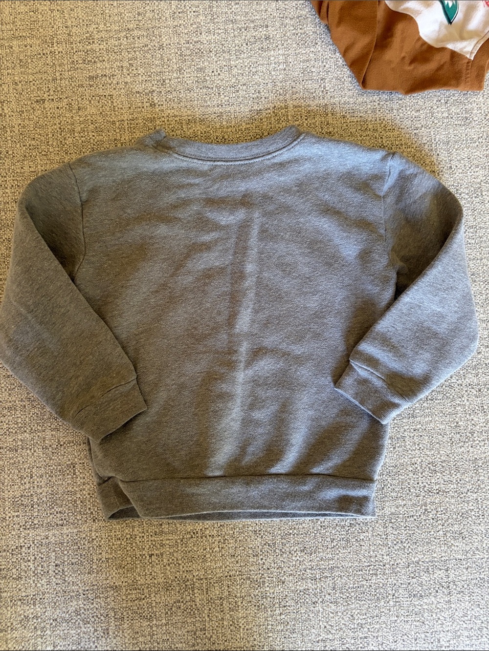 3T boys fall/winter lot of 7 pieces. Cute and fun prints and colors. - Picture 11 of 16